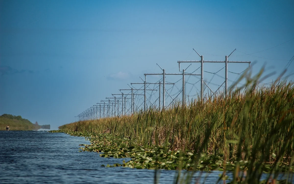 Flórida além de Miami Pântano da Flórida com vegetação densa e água parada refletindo o céu ao entardecer