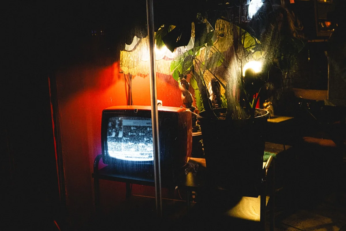 Ambiente escuro com luz de referência ao redor da tela Tela antiga ligada em cômodo escuro com pontos de luz âmbar acesos entre plantas ao lado