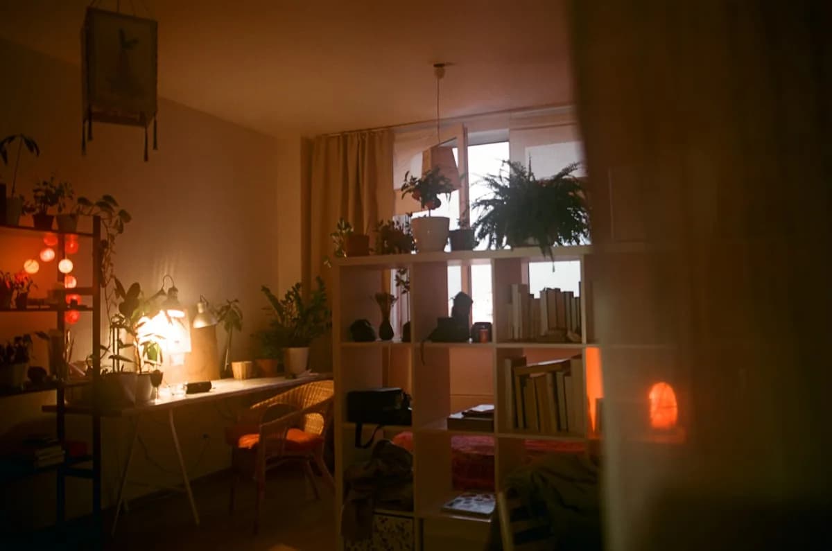 Iluminação RGB ou Luz Branca para Setup em 2026 Cantinho de estudo com luz âmbar aconchegante, plantas e pontos de cor suave na estante