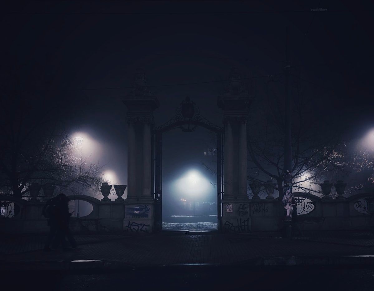 Noite nevoenta em um parque com luzes de rua iluminando o caminho
